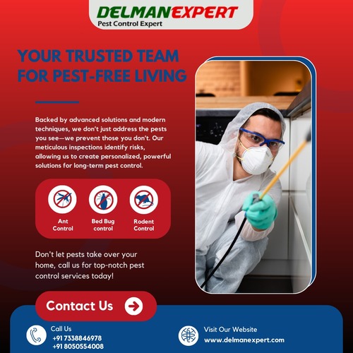 Trusted team for Pest control service