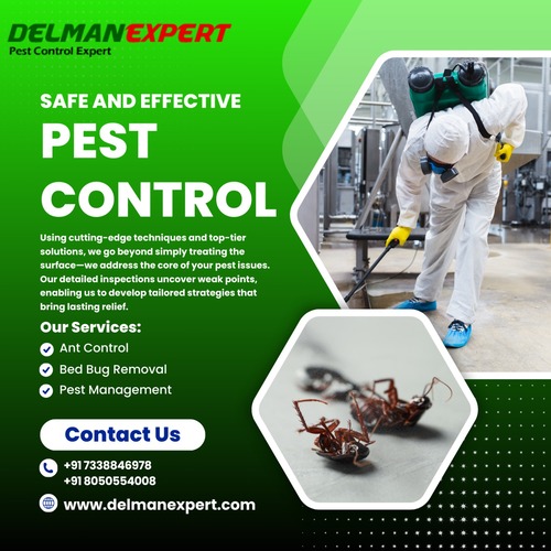 Safe And Effective Pest control