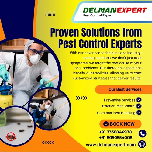 Proven Solution Experts